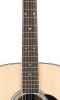 Neck